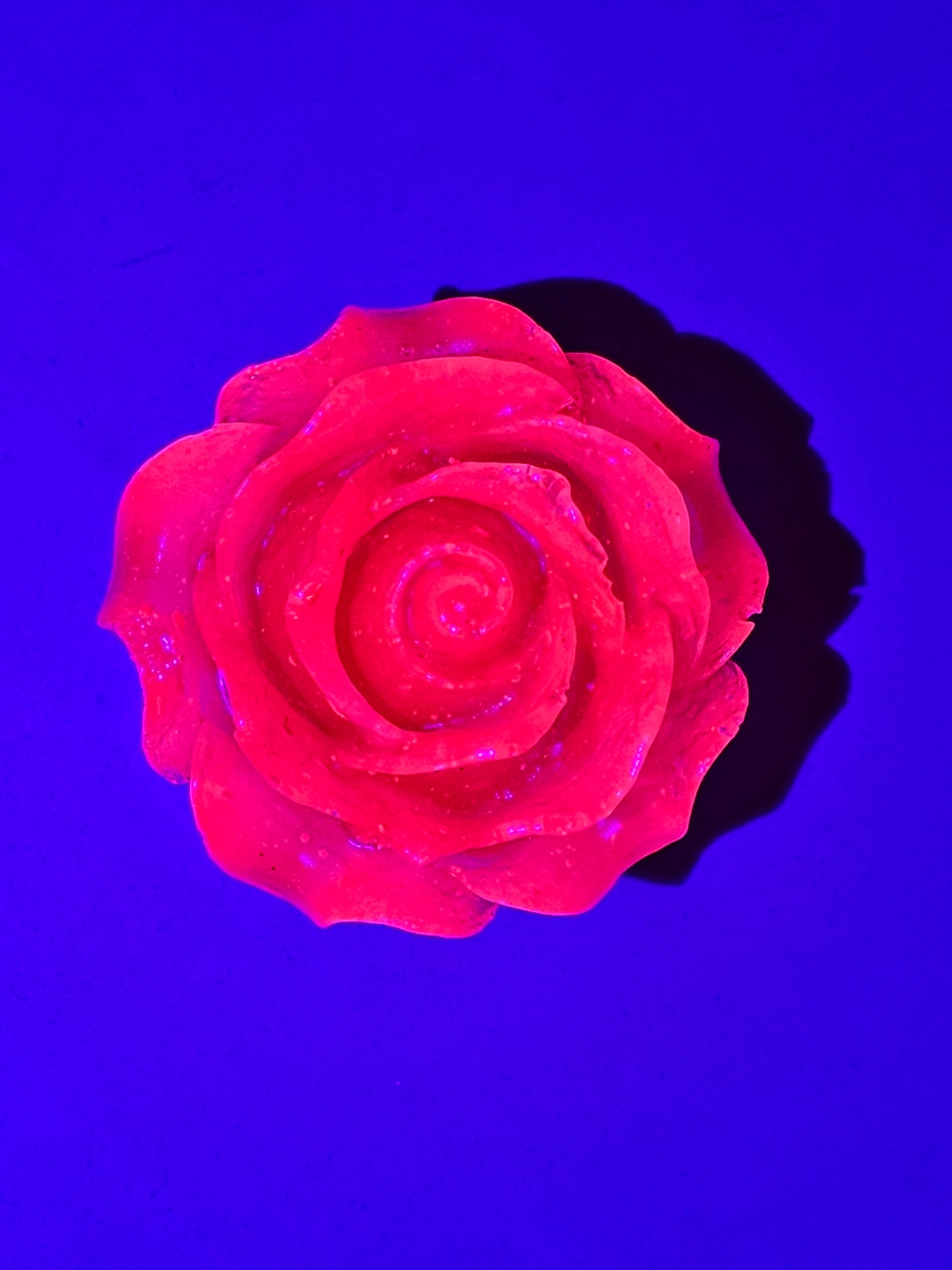 Popsocket - Neon Rose